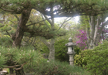 愛宕山長福寺の庭園の画像