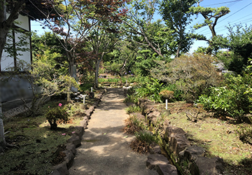 長福寺裏庭園に続く参道の画像