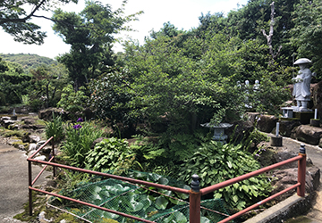 長福寺裏庭園の画像